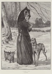 A Winter Walk